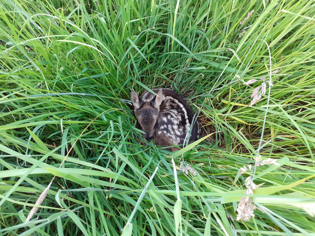 8BC32042-1873-4446-A009-BFA791E9DEF4