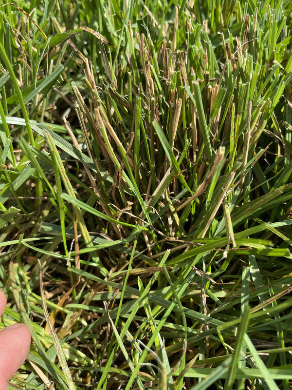 4CE0C3A6-D31E-4625-A966-28B2E2C13582