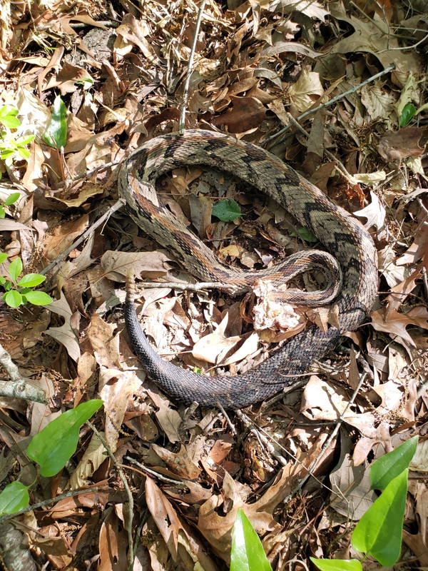 Resized_20240412_162138