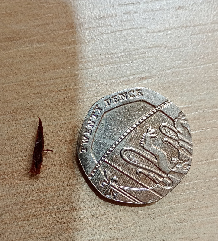 IMG_20250813_133100517_MFNR