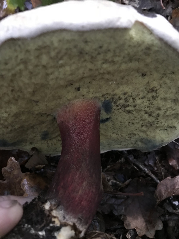 49D6287A-1221-4BDB-A787-A0B3B0AB782C