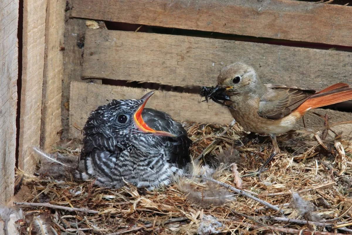 EF5886BC-AFAC-4892-9F92-102CC93EBF00