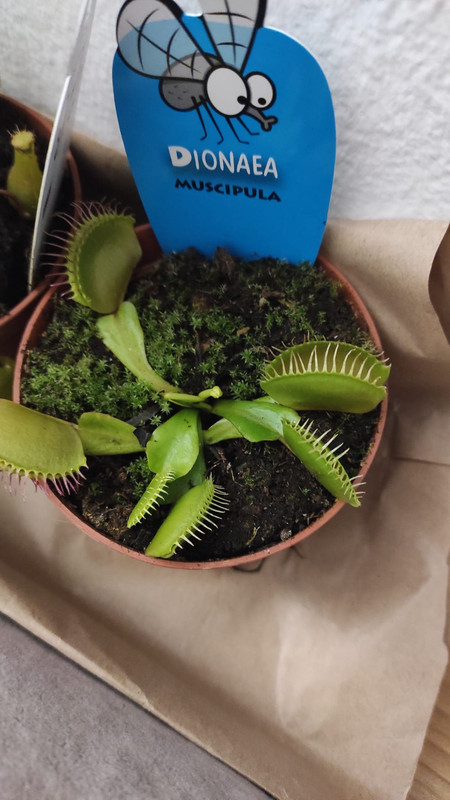 Imagen de WhatsApp 2025-01-09 a las 18.41.06_3d89b639