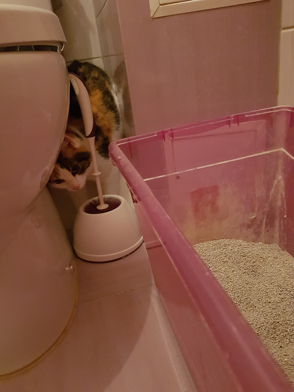 vartotojo �kelta nuotrauka