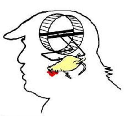 images.jpg