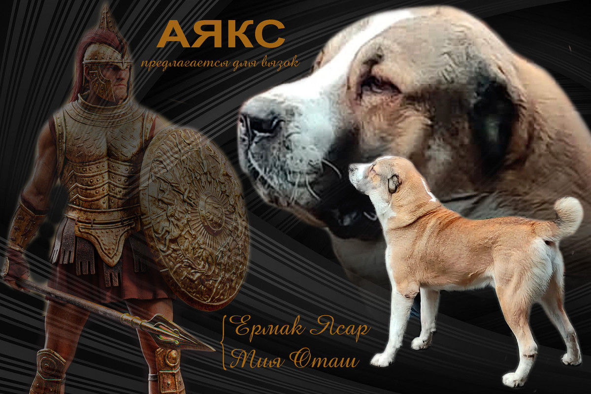 Аякс — Postimages