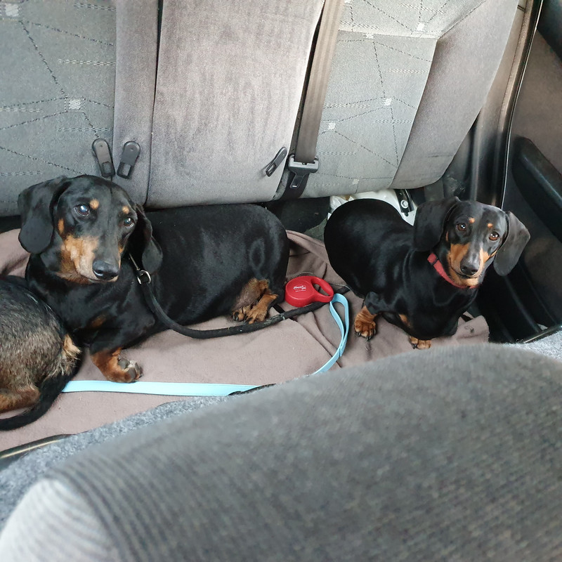 [Image: 20211110-171006.jpg]