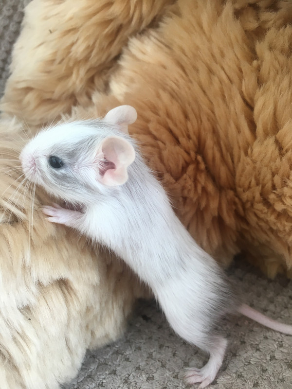 6A691613-AE23-4A2A-ADB2-9D3BF65997C1