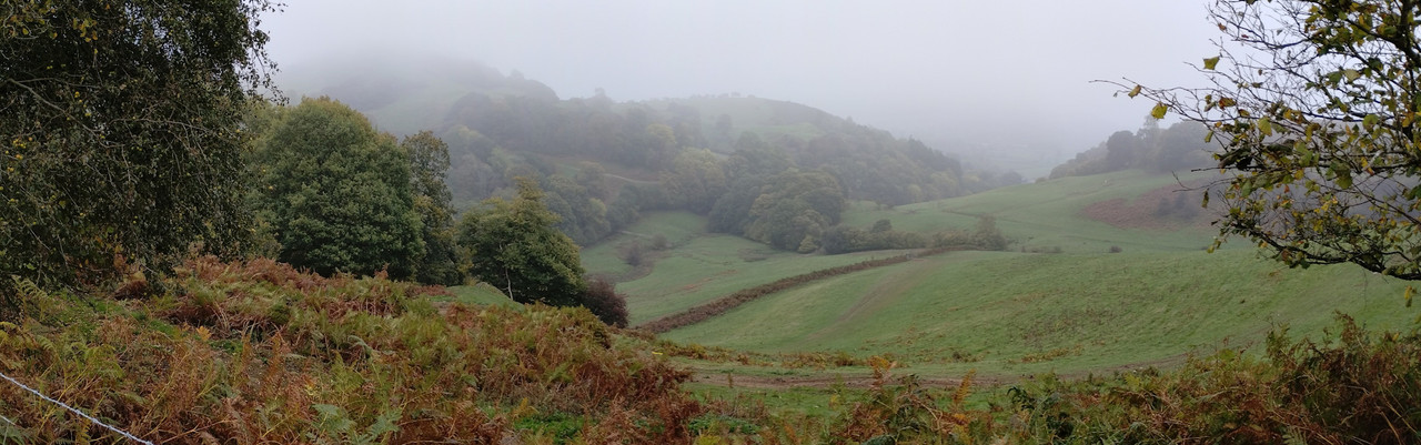 MorningWalk12Hydref (2)-rszd