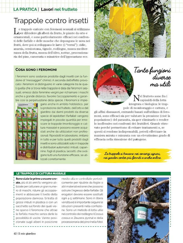 Il Mio Giar Apr-Mag 2023 (9)