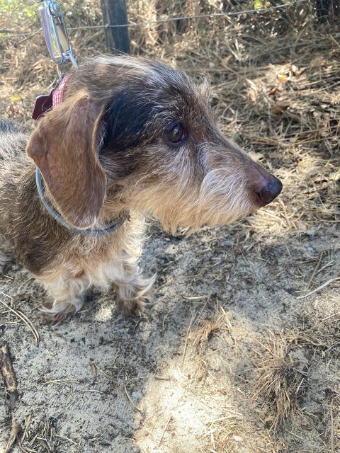 [Image: IMG-5213.jpg]