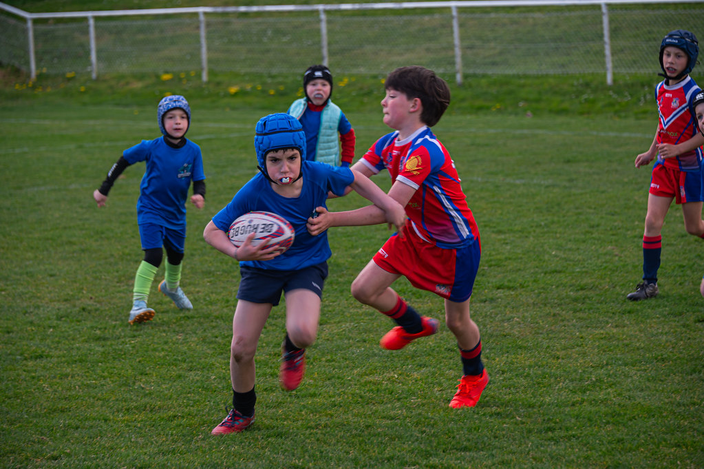 tournoi-de-latlantique-2026-adonis-griffon-117-55180399942-l