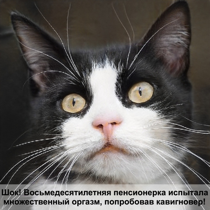 как просто нарисовать кошку