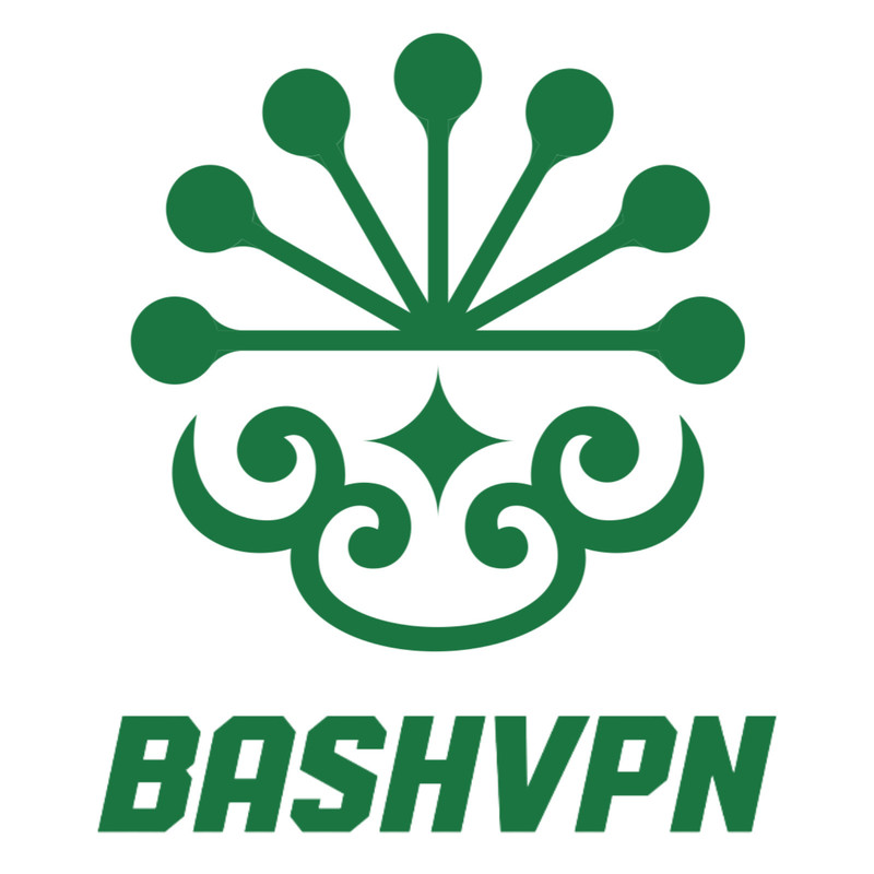 BASHVPN Logo