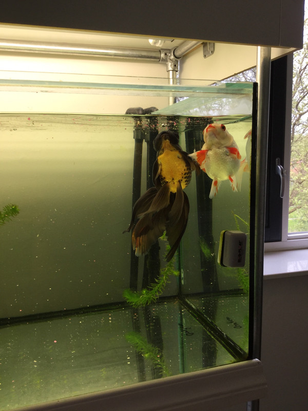 4CFE957E-D645-4AD2-B759-BE32BC1E13ED