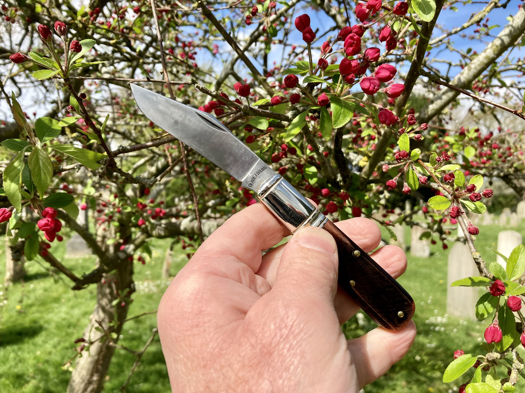 29F4F9C4-8E7D-482B-B001-162F1FA3745F