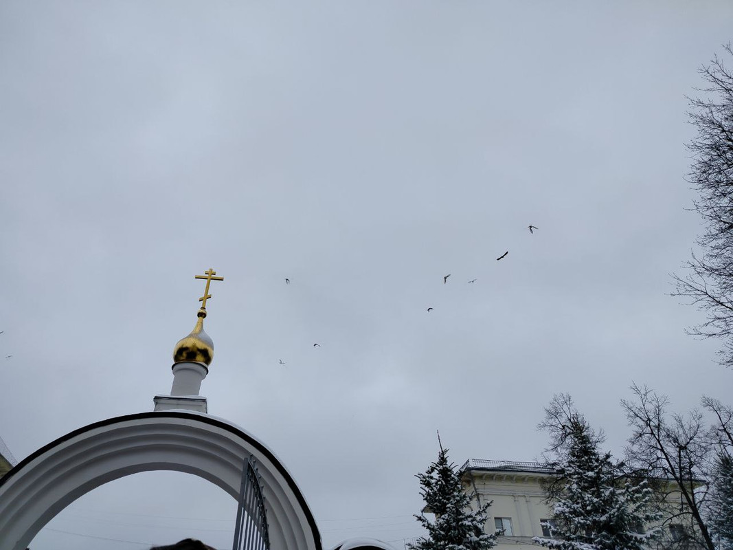 IMG-20250411-094256-455