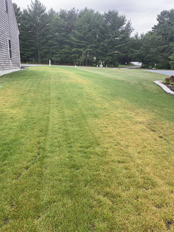 9EEC9CB0-5F35-47B9-B070-4CD43E4D5C7B