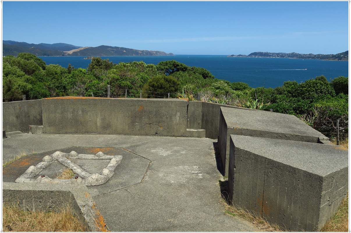 Escapadas y rutas por la Nueva Zelanda menos conocida - Blogs de Nueva Zelanda - Wellington más allá del Te Papa y el Cable Car (41)