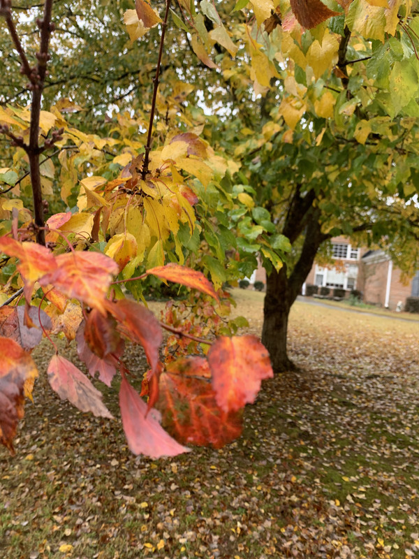 AC805EC8-6748-4925-B378-E96ADDC94813