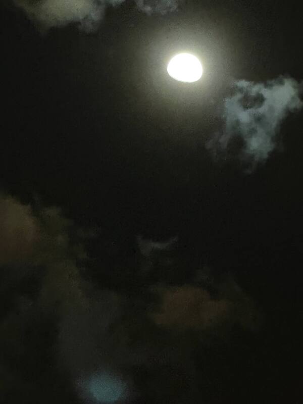 Блестяшки и вкусняшки: Новый Год в Чиангмае, Хуахин, Бангкок