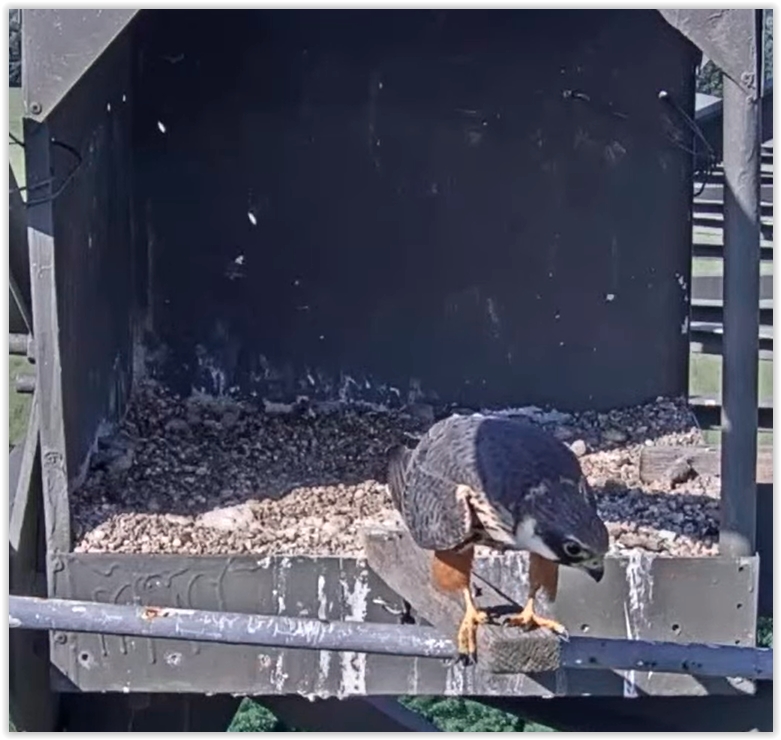 Screen Shot 05-31-22 at 05.02 PM