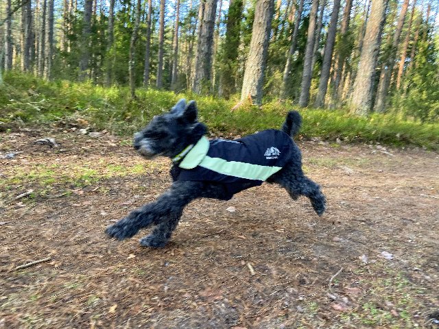 39-EB1974-C707-433-A-BE21-FBC42-EBCC08-F