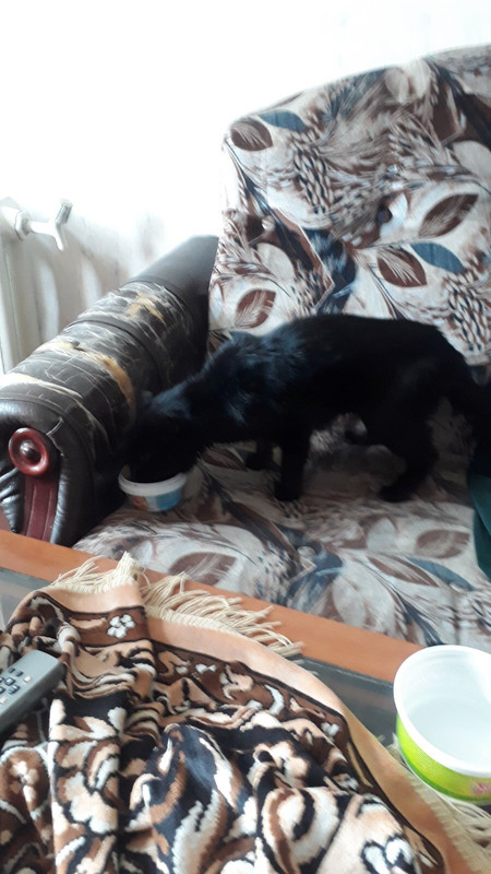 E42460E6-8377-44C2-80DF-B8746C102003