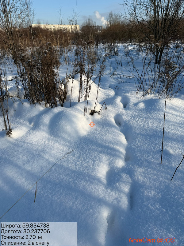 IMG 4523
