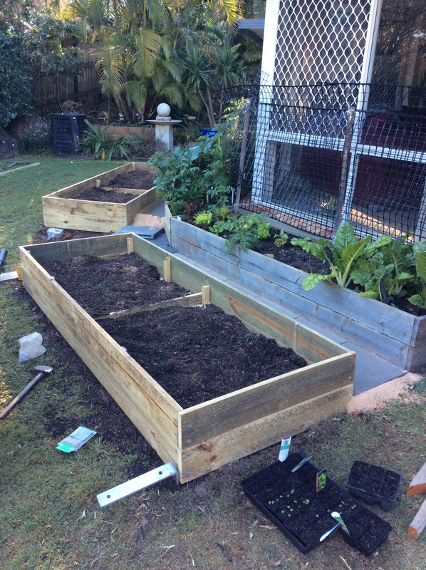 3432CCB7-D134-4E2E-BA68-7E00BF3F3ED8