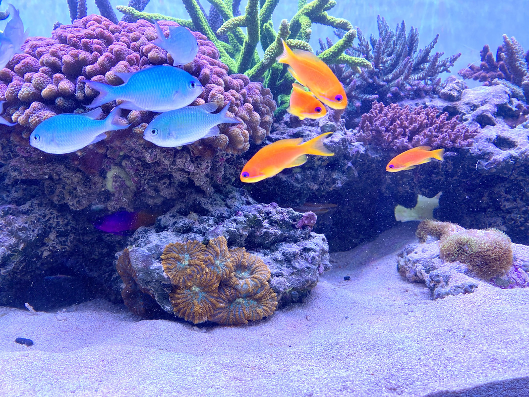 49CB7FBA-295A-49EB-8A9D-2153FED6839F