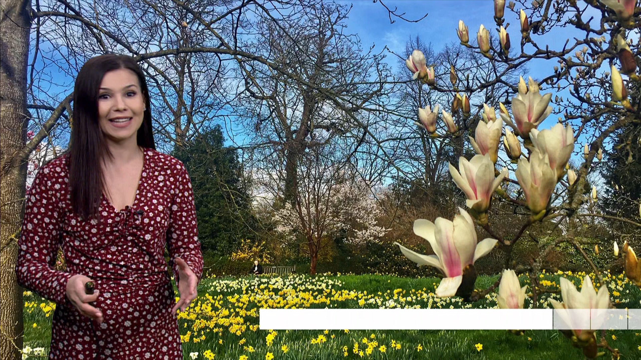 BBC London News_20230327_13301345.ts_snapshot_11.48.263