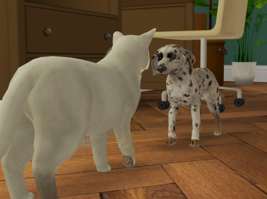 Sims2-EP9-RPC-2024-01-04-20-23-21-10