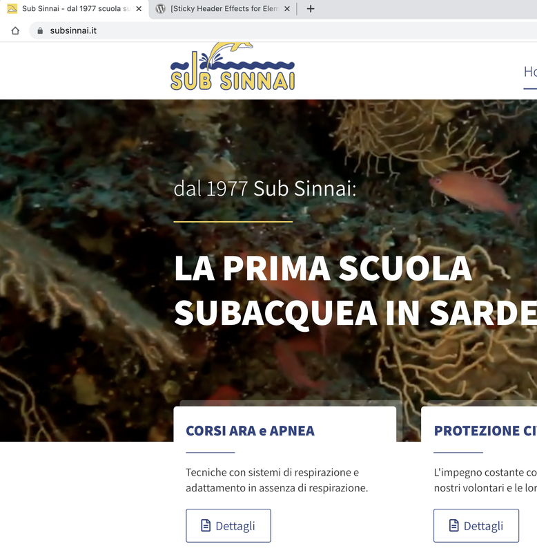 Schermata 2021-06-06 alle 16.39.56