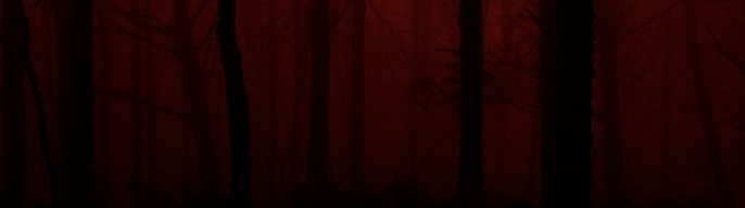 ivypool's banner