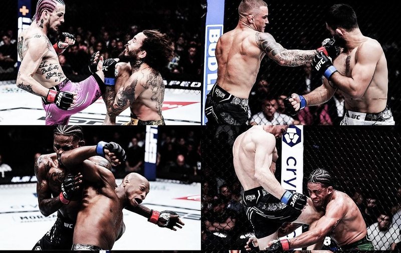 О&#039;Мали и Порие спечелиха по над 1 милион след UFC 299