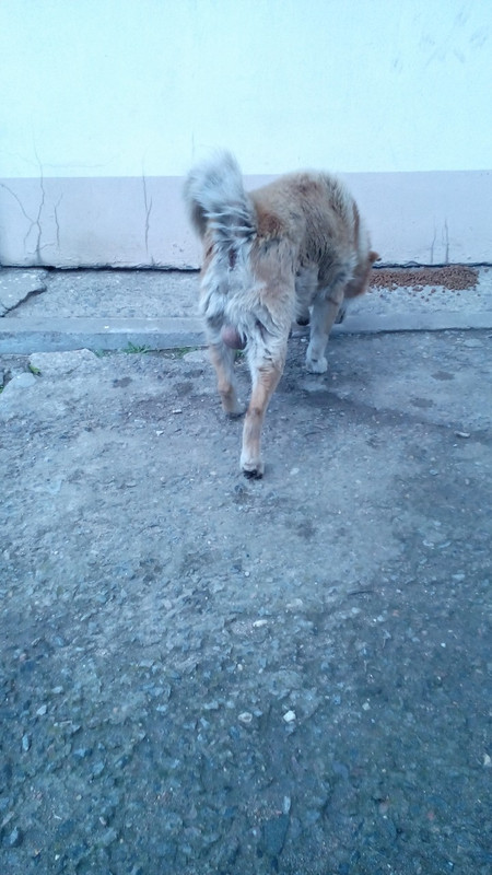 image-7723b86a09e46e9c9bcd0fd600351bd3c4ed19a8f3