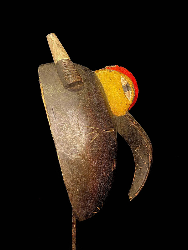 large image 12