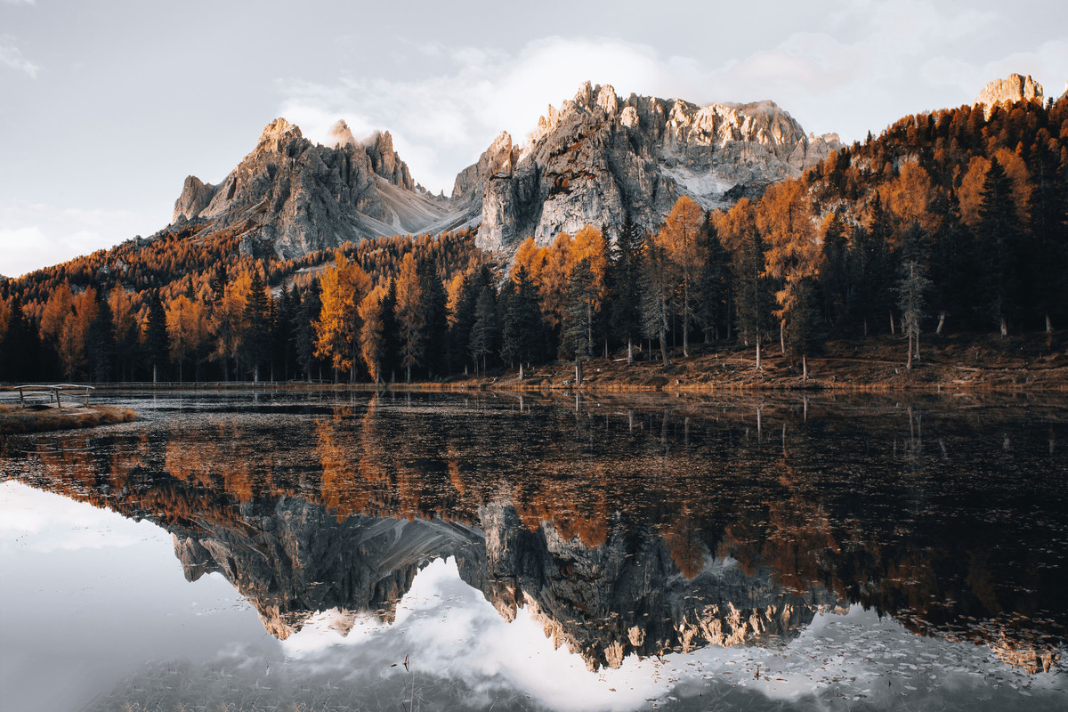 5 — Postimages