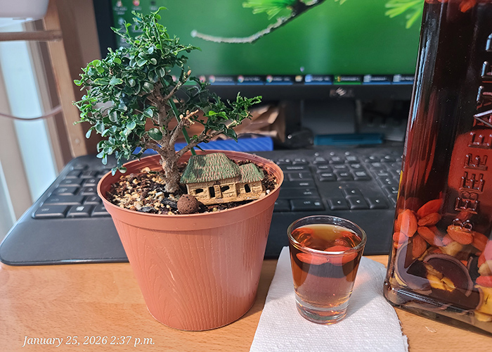 [Image: 20260125-143714.jpg]