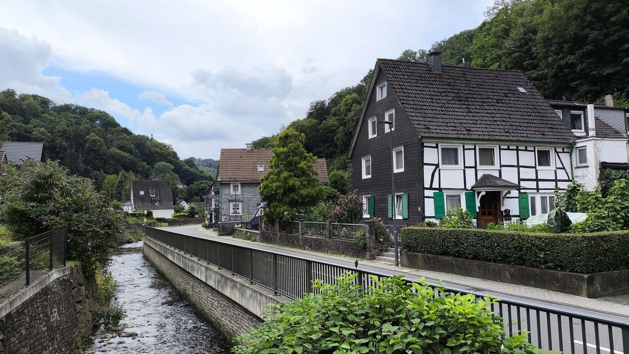 [Bild: IMG-20250730-105421b.jpg]