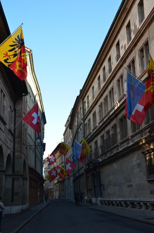 Suiza y sus pueblos-2019 - Blogs de Suiza - GINEBRA-3-9-2019 (260)