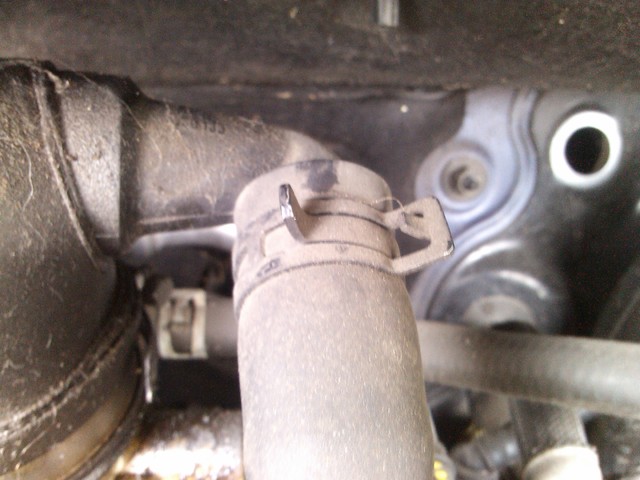 leptir klapna gasa (5)