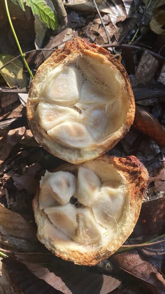 487218610 1858362954961485 1724429688597950560 n