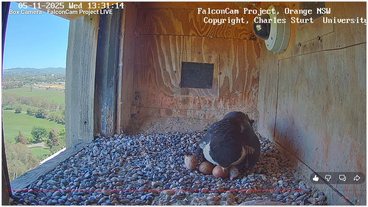 Screen Shot 11 05 25 at 05 42 AM