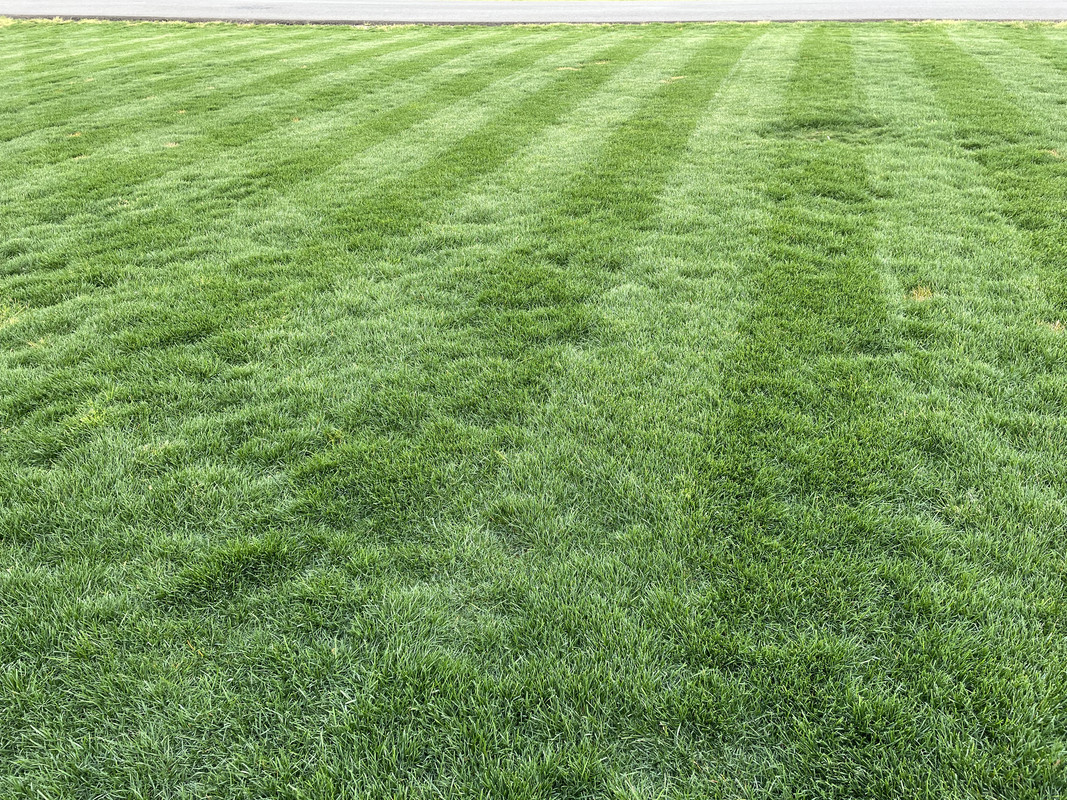 CD549B2C-1173-4F29-BBE7-F52E313212E4