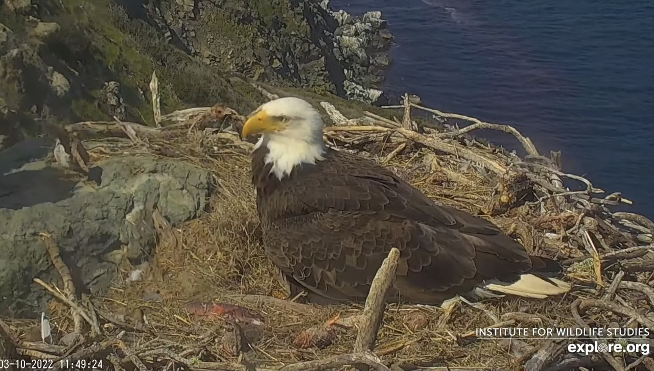 95DC121C-884F-4EE7-8805-6ABB4C1E210F