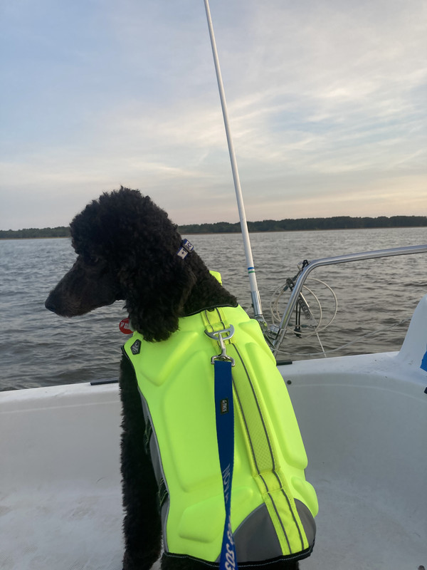 92F23FF8-9EA7-443A-8D1B-8D7AF31E91A6