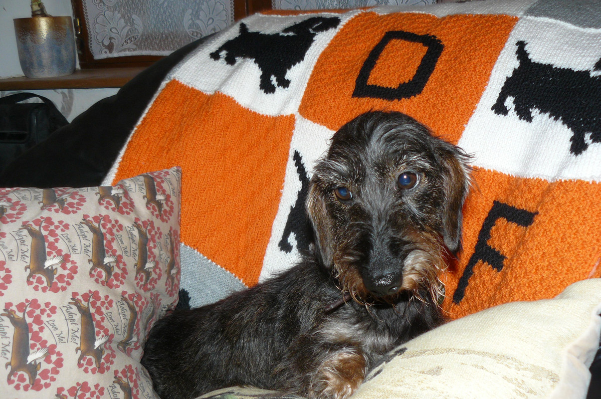 [Image: P1240645.jpg]