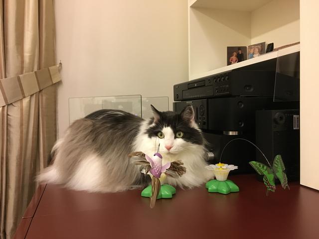 E0-B3-B835-8-DFE-4-F1-A-92-FA-187-EDC03-